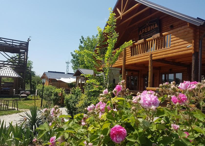 Vojvodina Novi Sad Garden
