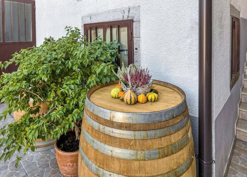  Sezana Exterior Detail