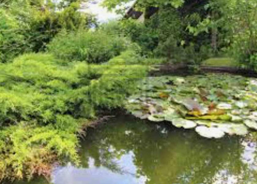  Ljubljana Property Grounds