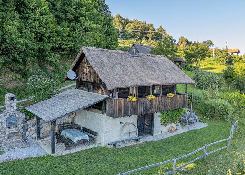  Novo Mesto Primary image