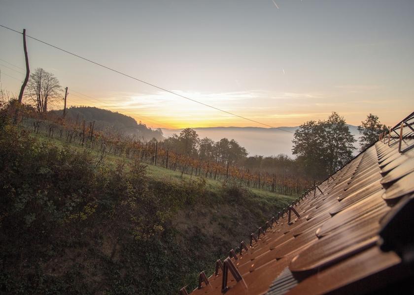  Novo Mesto View from Property