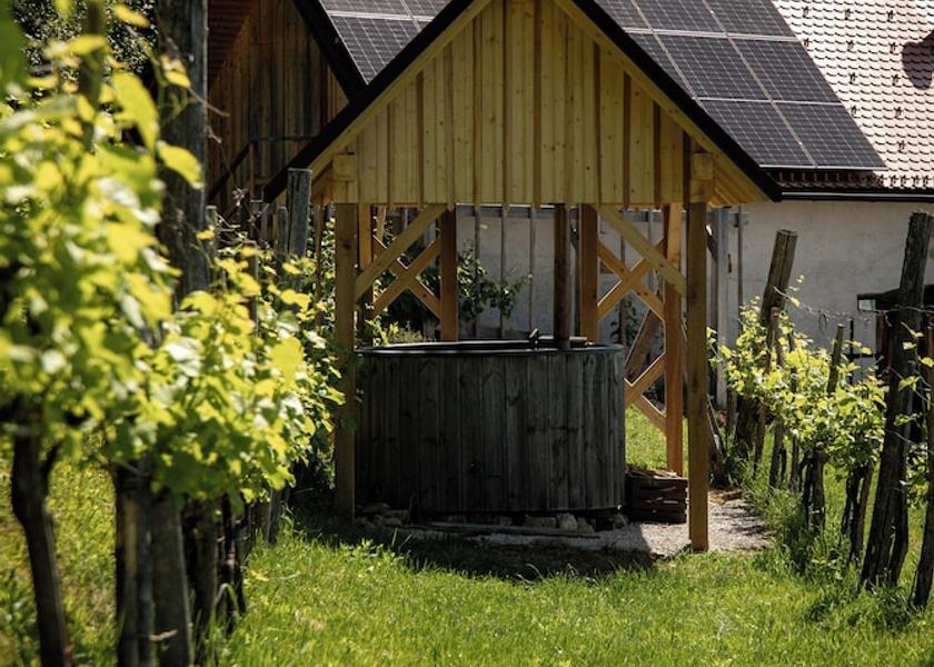  Novo Mesto Private Spa Tub