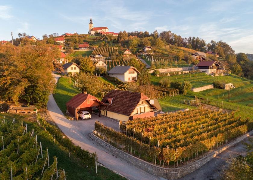  Novo Mesto Primary image