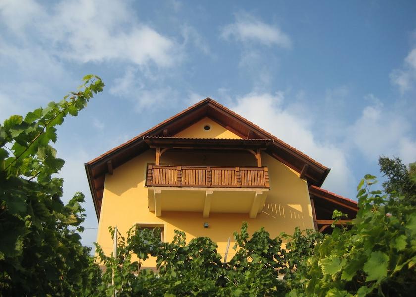  Novo Mesto Primary image