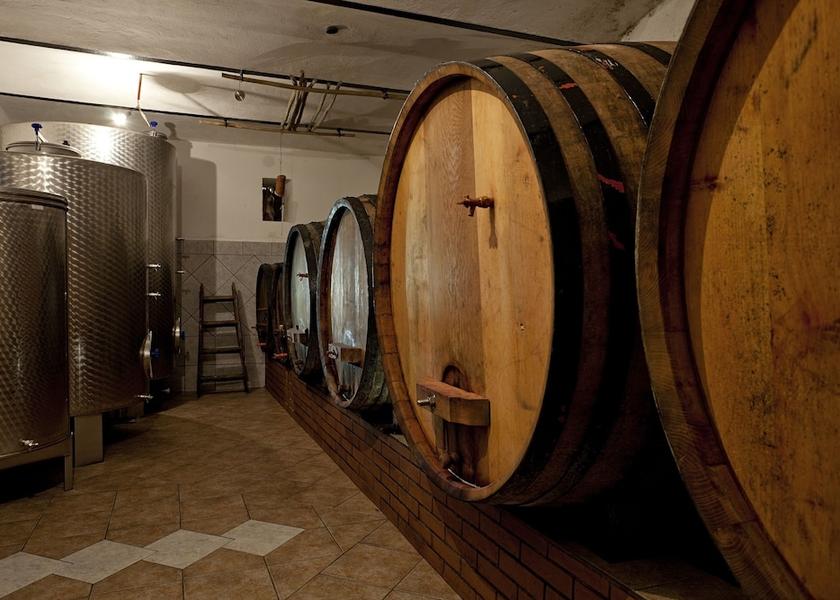  Novo Mesto Winery