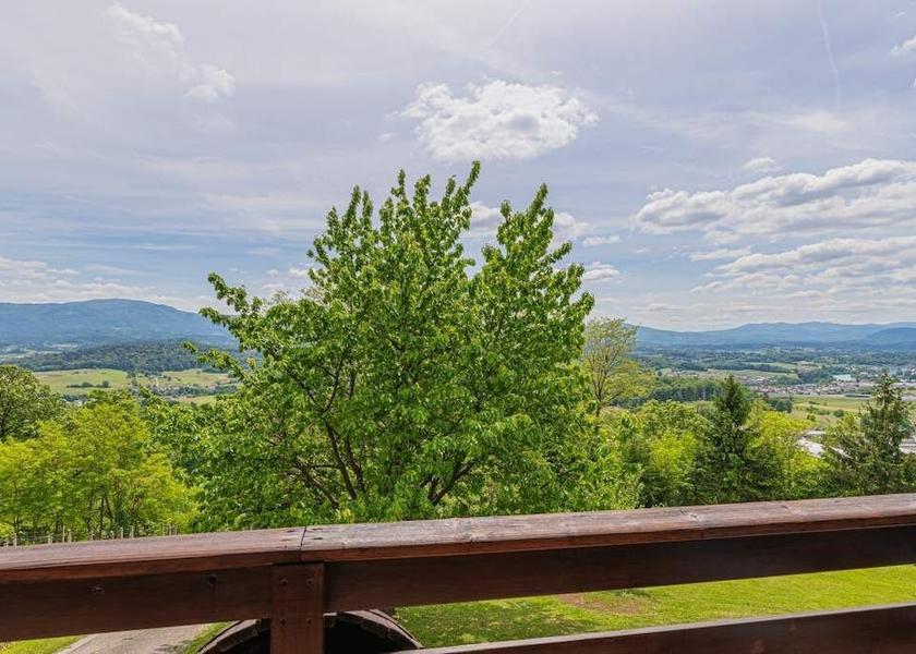  Novo Mesto View from Property