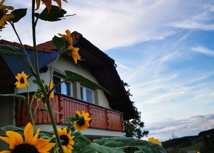  Žužemberk Facade