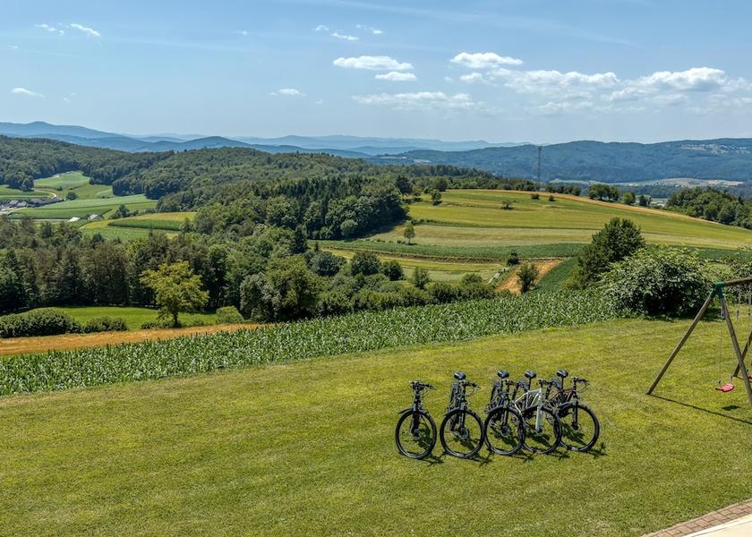  Trebnje Property Grounds