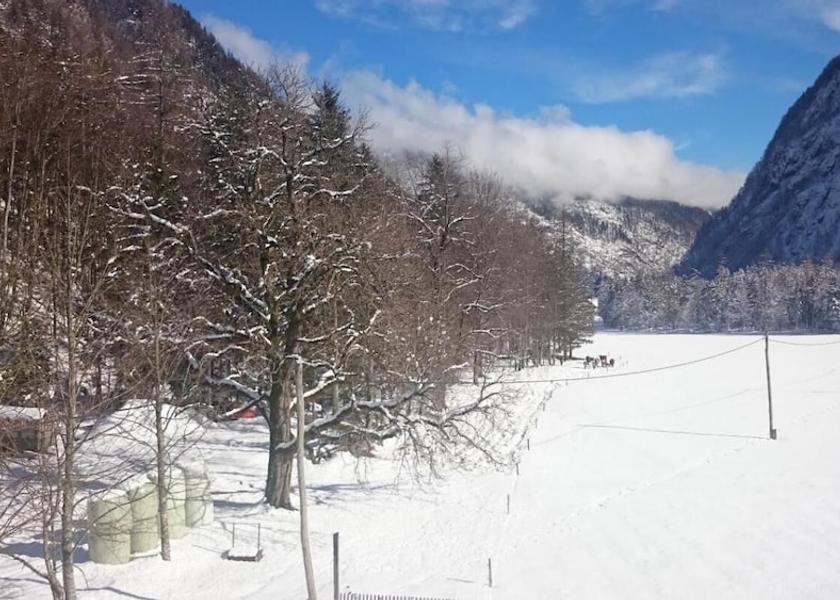  Kranjska Gora View from Property