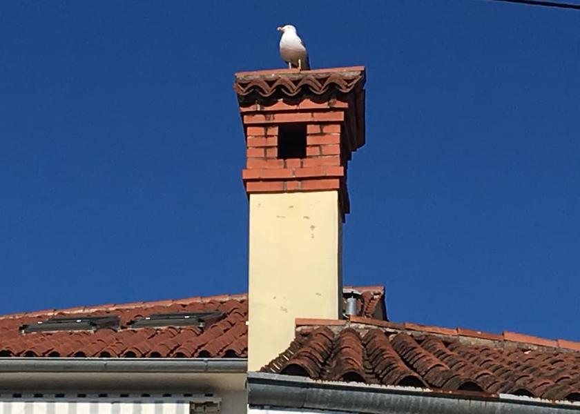  Izola Exterior Detail