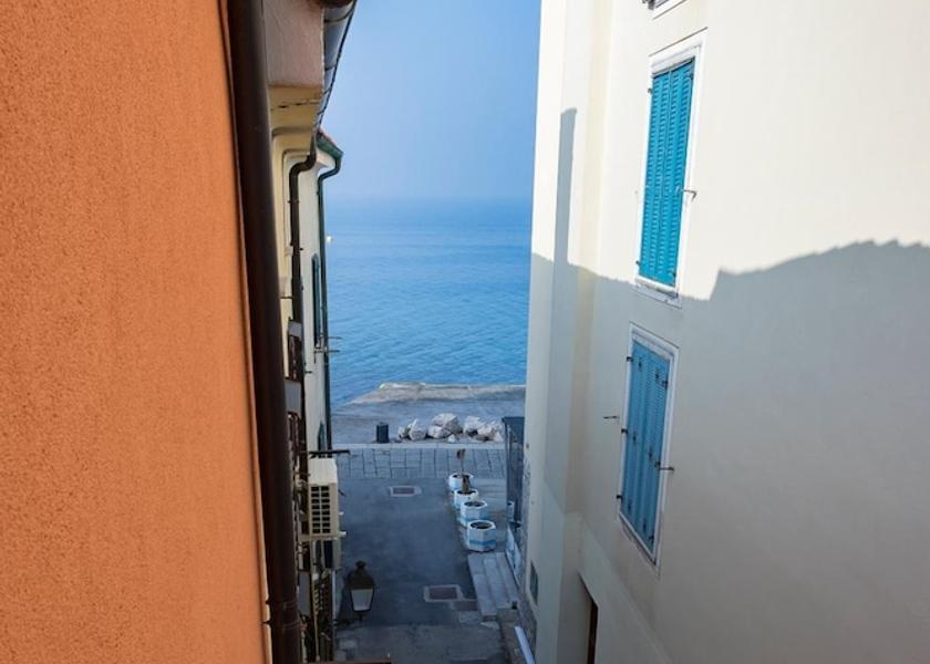  Piran Property Grounds