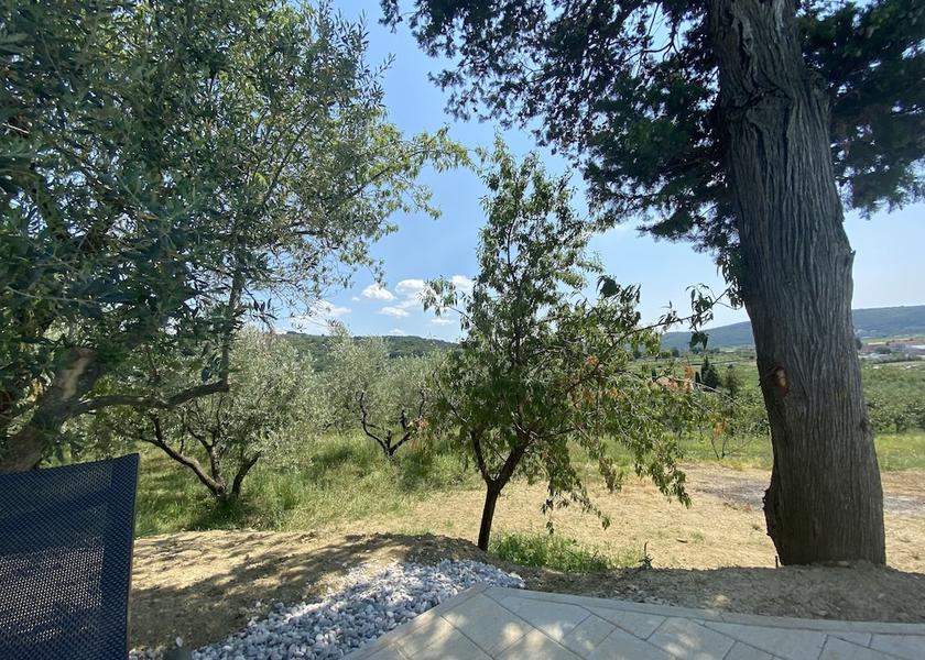  Piran View from Property