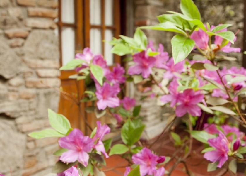 Colonia Colonia del Sacramento Garden