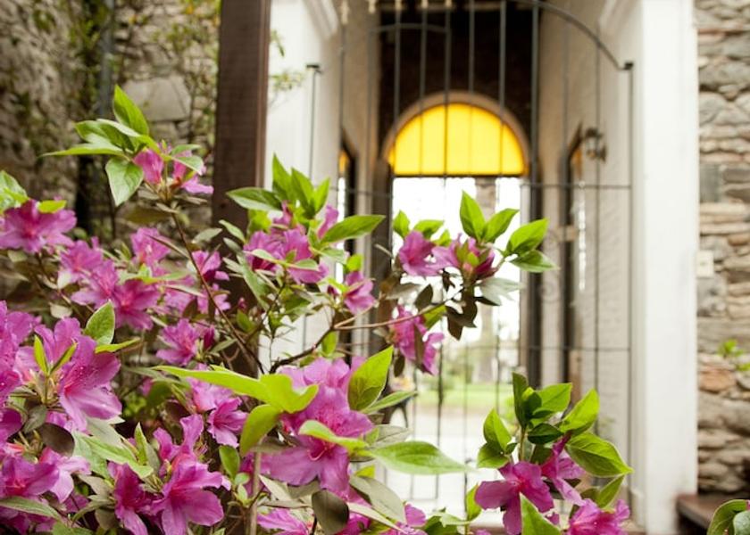 Colonia Colonia del Sacramento Courtyard
