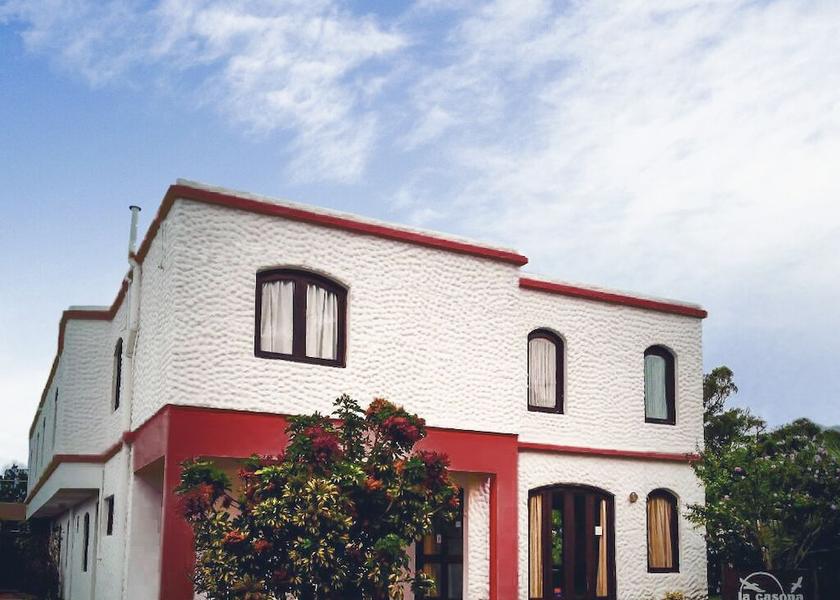 Rocha La Paloma Primary image