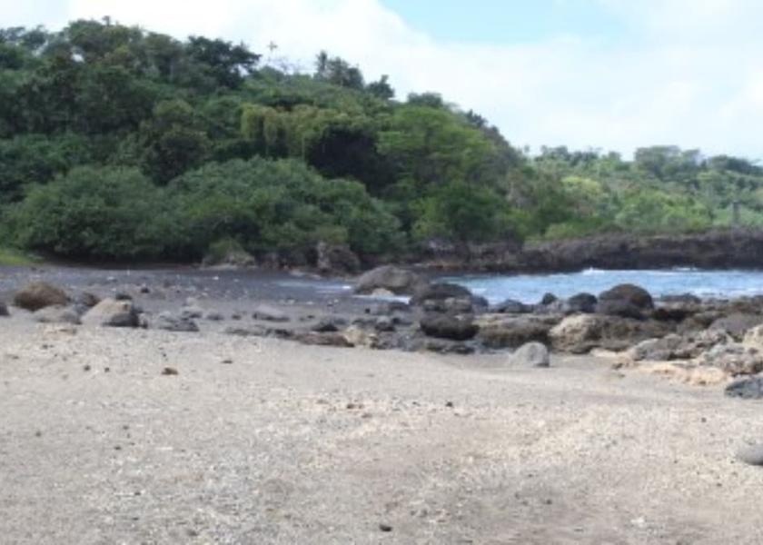  Tanna Island Beach