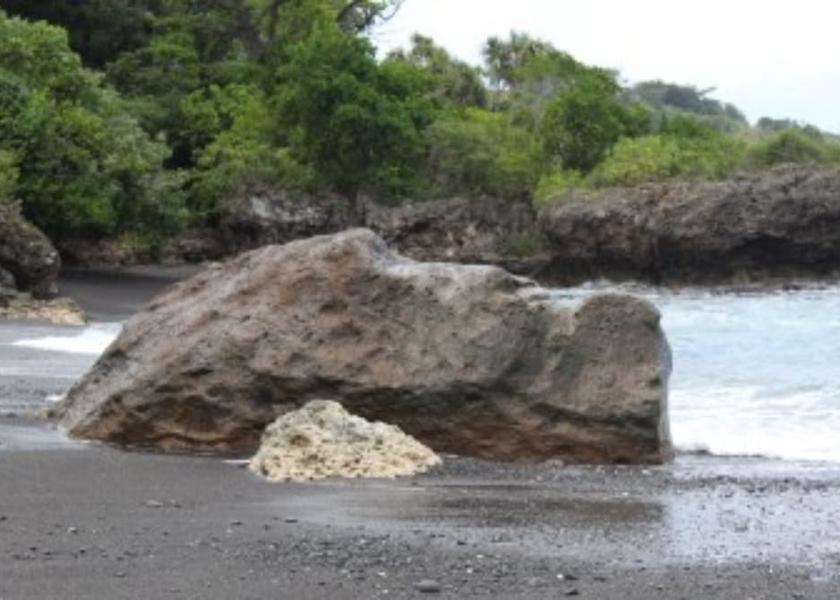  Tanna Island Beach