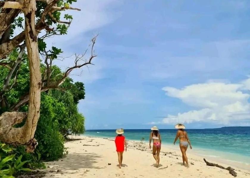  Tanna Island Beach/Ocean View