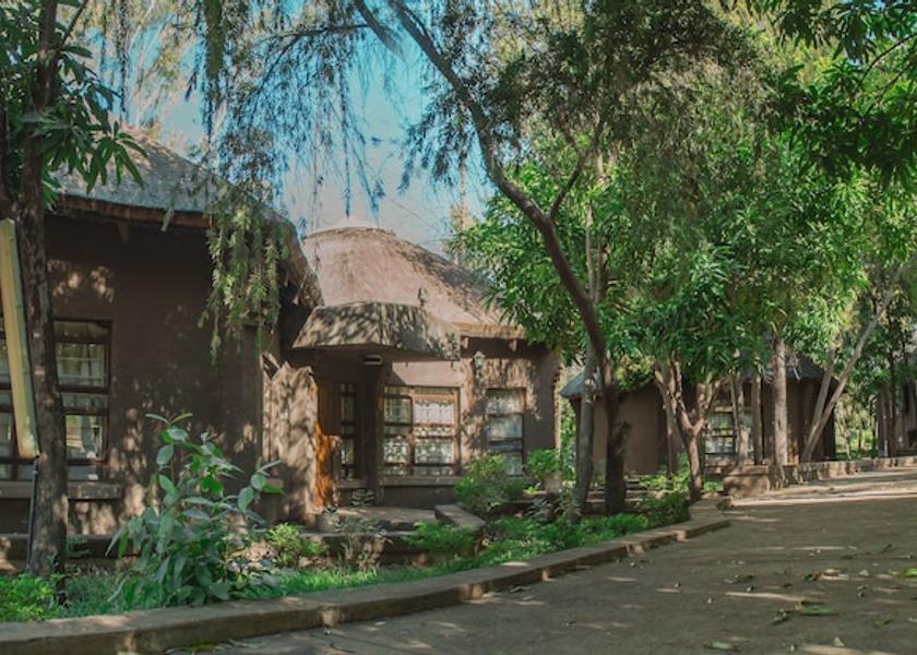  Livingstone Primary image