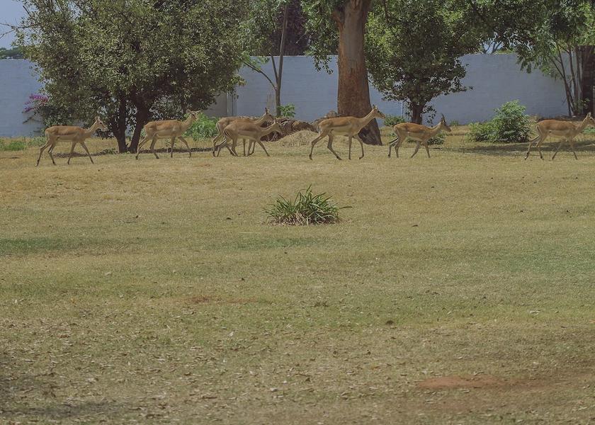  Ndola Property Grounds