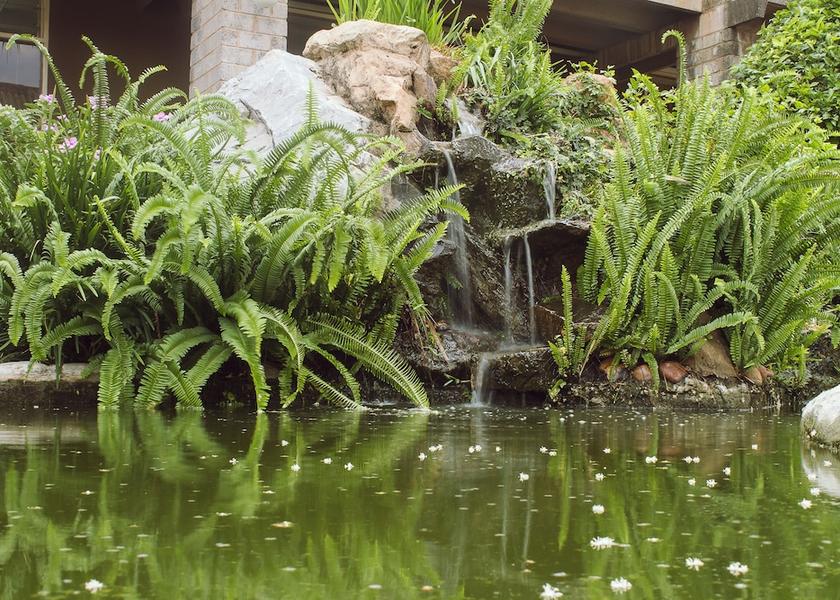 Copperbelt Ndola Garden