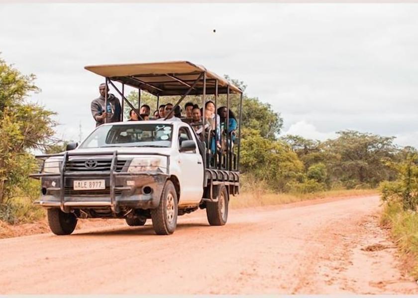 Lusaka Lusaka Game drive
