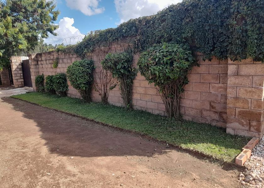  Lusaka Exterior Detail