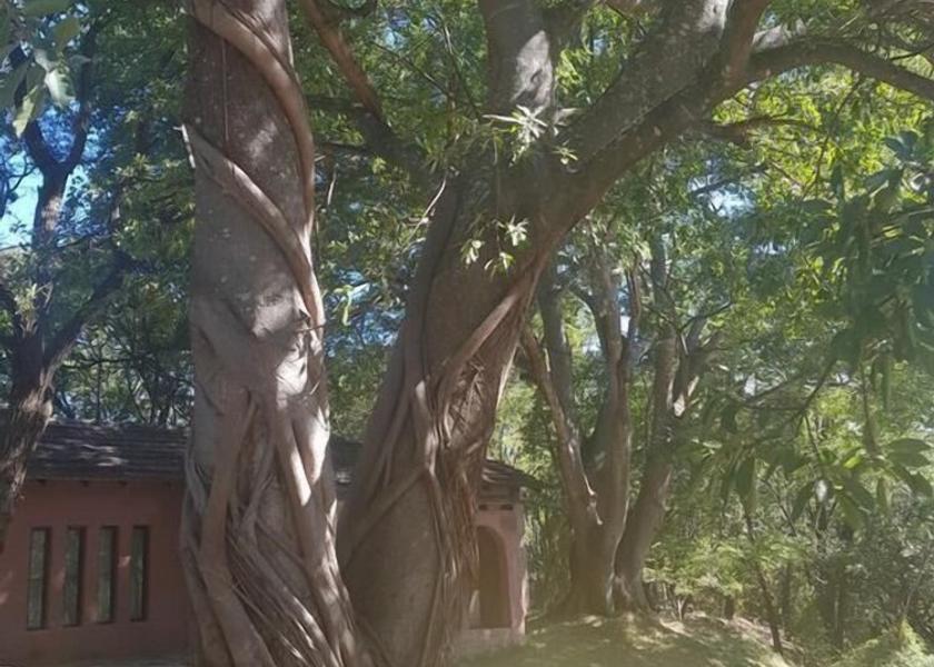  Kwekwe Exterior Detail