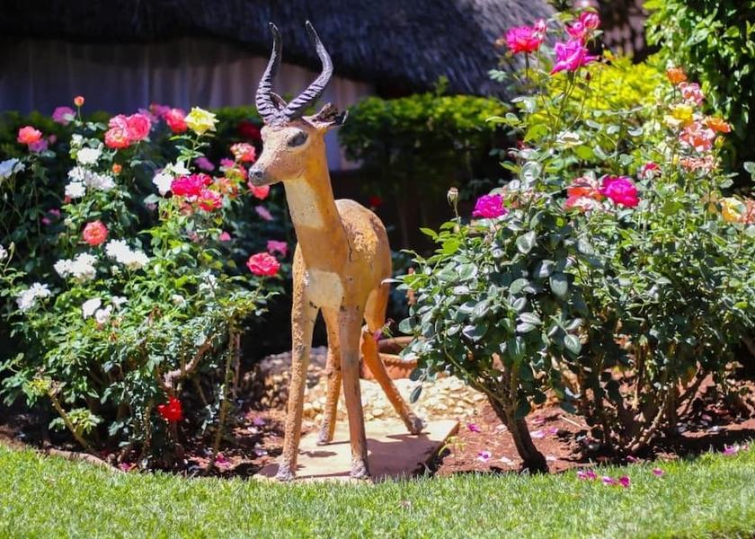  Bulawayo Garden