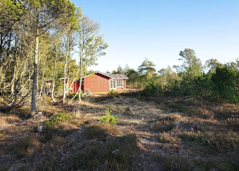 Nordjylland Aalbaek View from Property