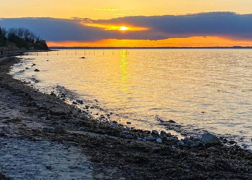 Syddanmark Nordborg Beach