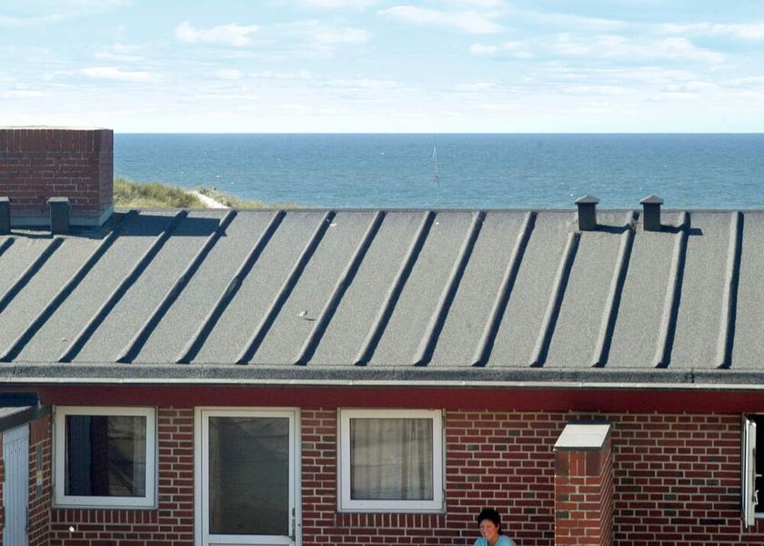 Syddanmark Henne Exterior Detail