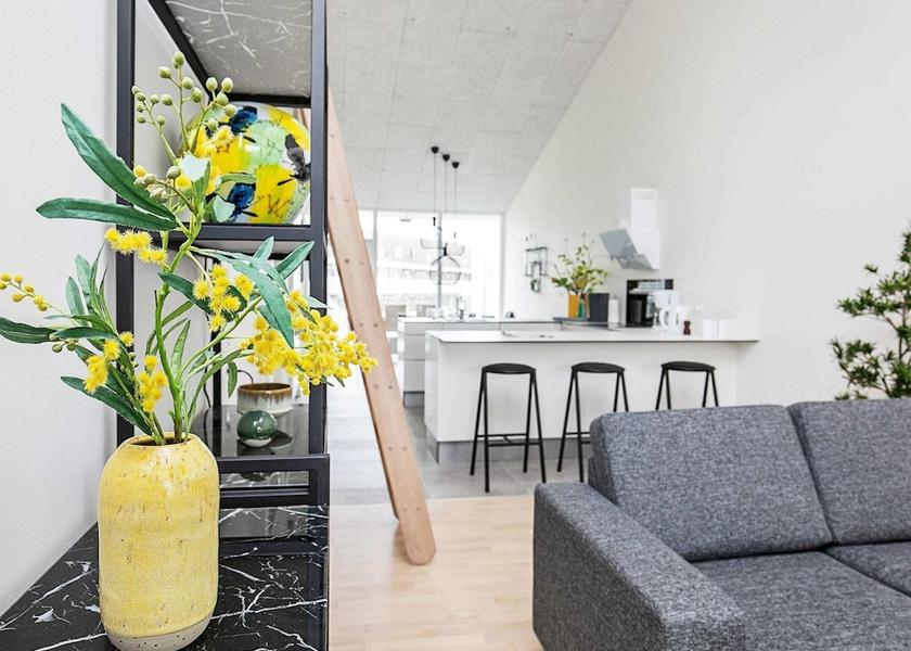 Midtjylland Ringkobing Interior Entrance