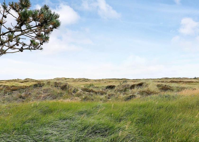 Nordjylland Pandrup View from Property