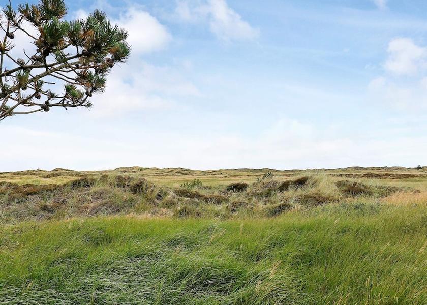 Nordjylland (region) Pandrup View from Property
