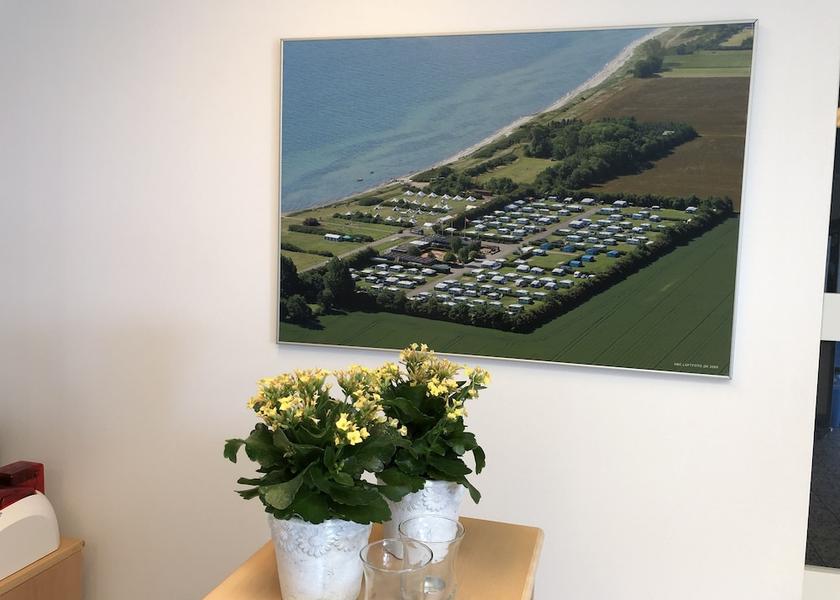 Midtjylland Odder Reception