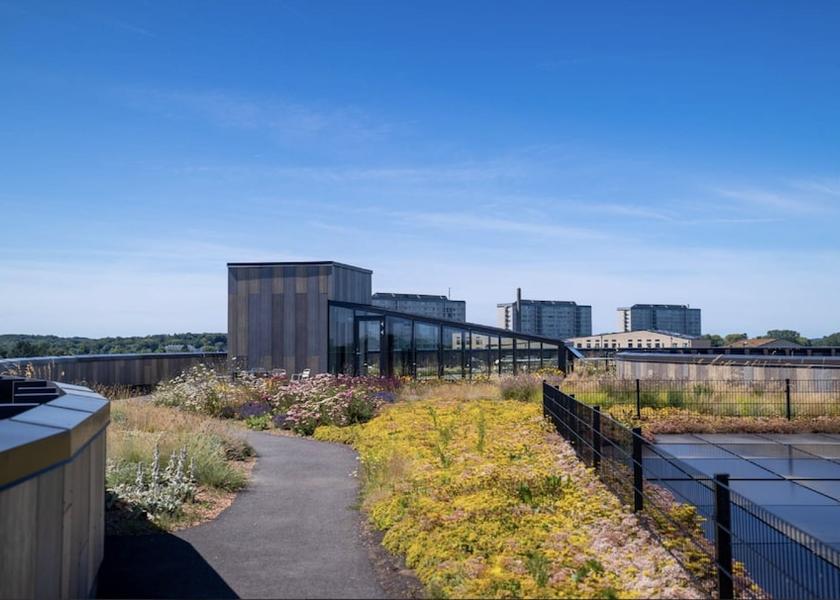 Hovedstaden Kongens Lyngby Terrace