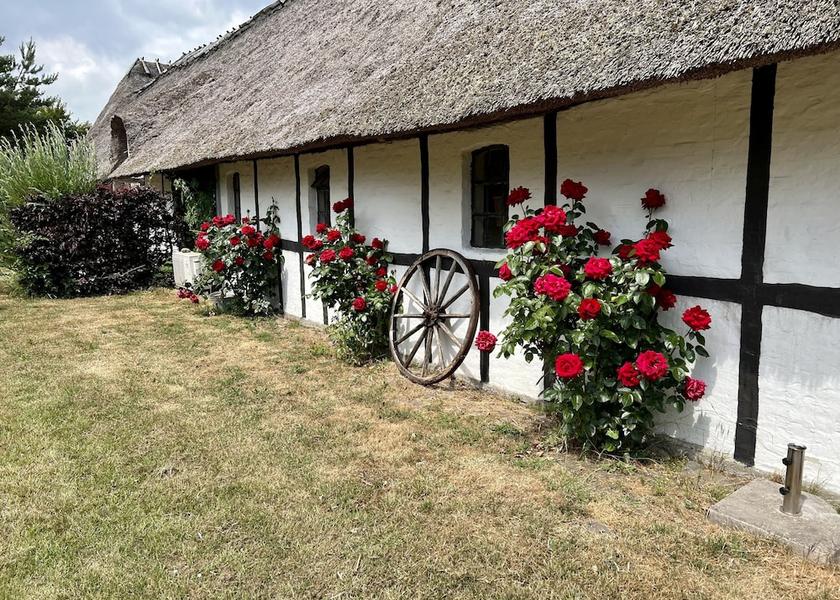 Syddanmark Nyborg Exterior Detail