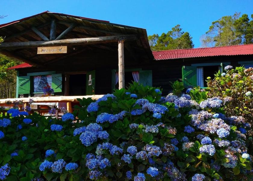 La Vega Constanza View From Room