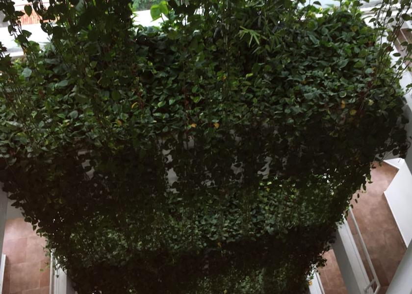 Santo Domingo Santo Domingo Exterior Detail