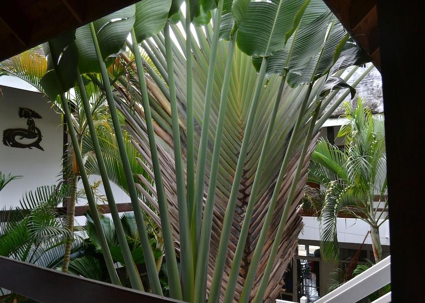 Samaná Samaná Garden