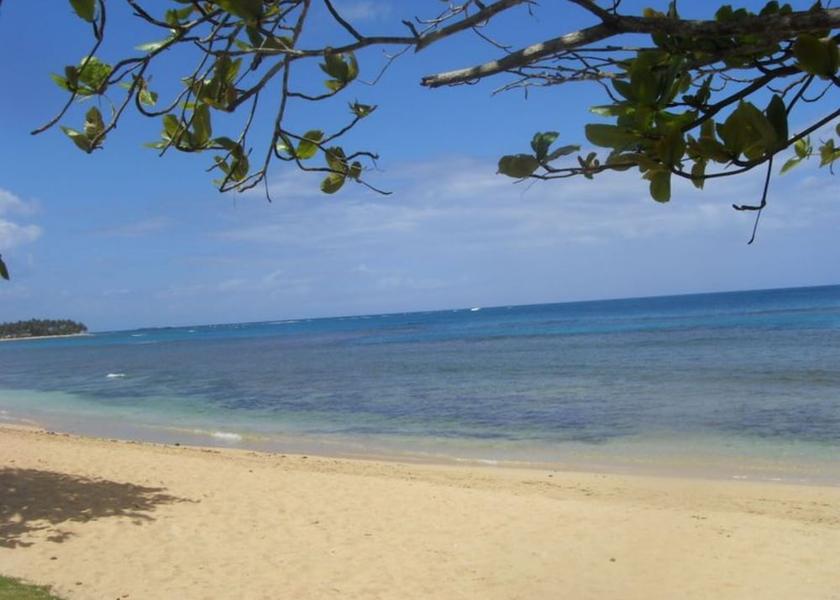 Samana Las Terrenas Beach