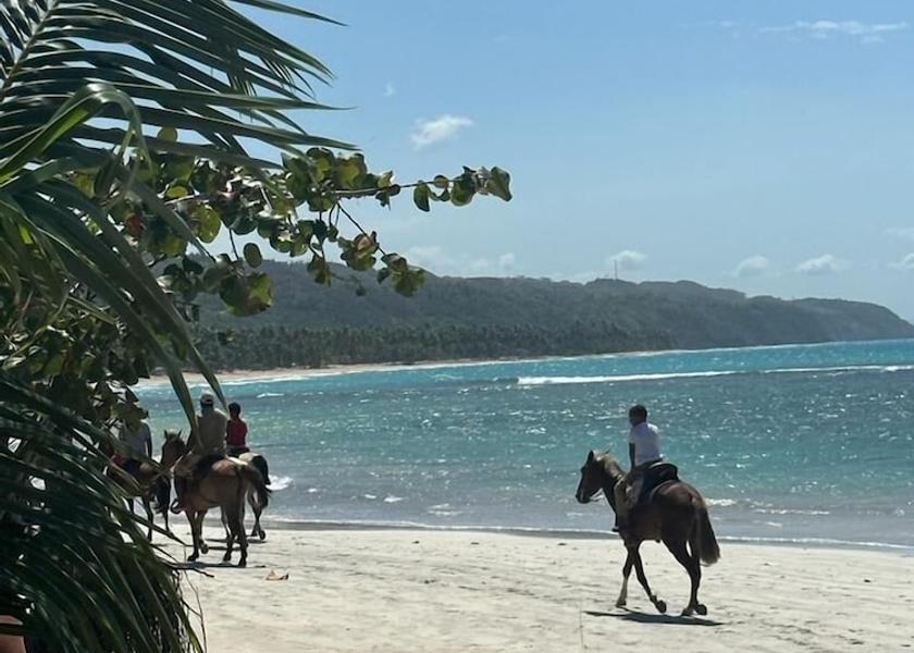 Samana Las Terrenas Beach