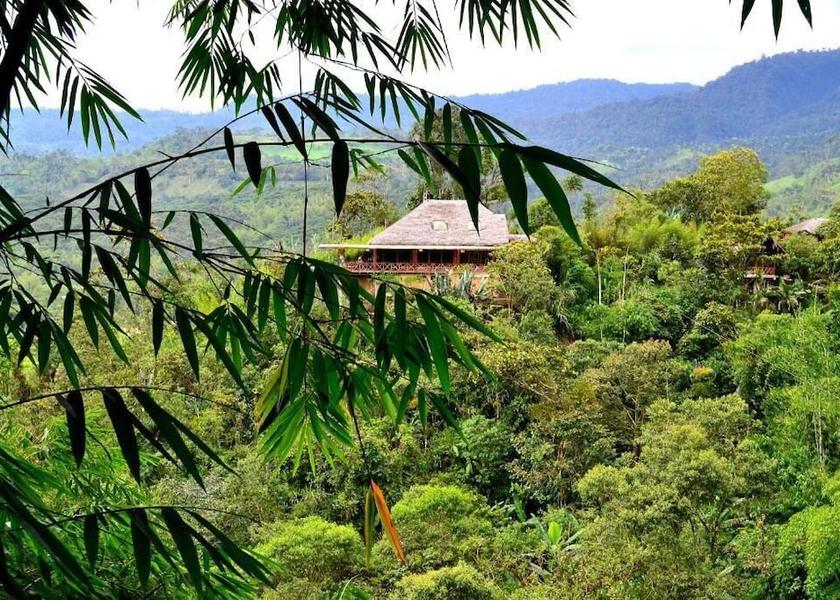  Mindo Exterior Detail