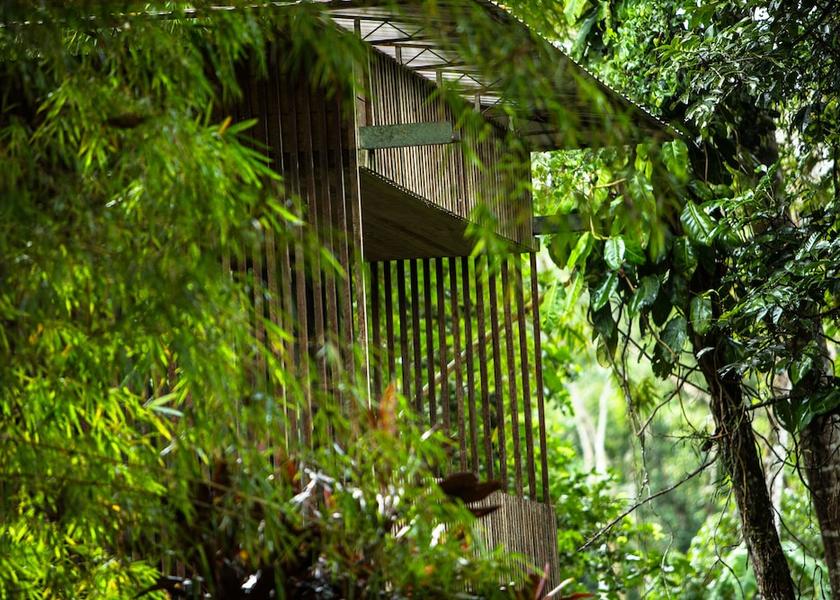 Napo Misahualli Primary image