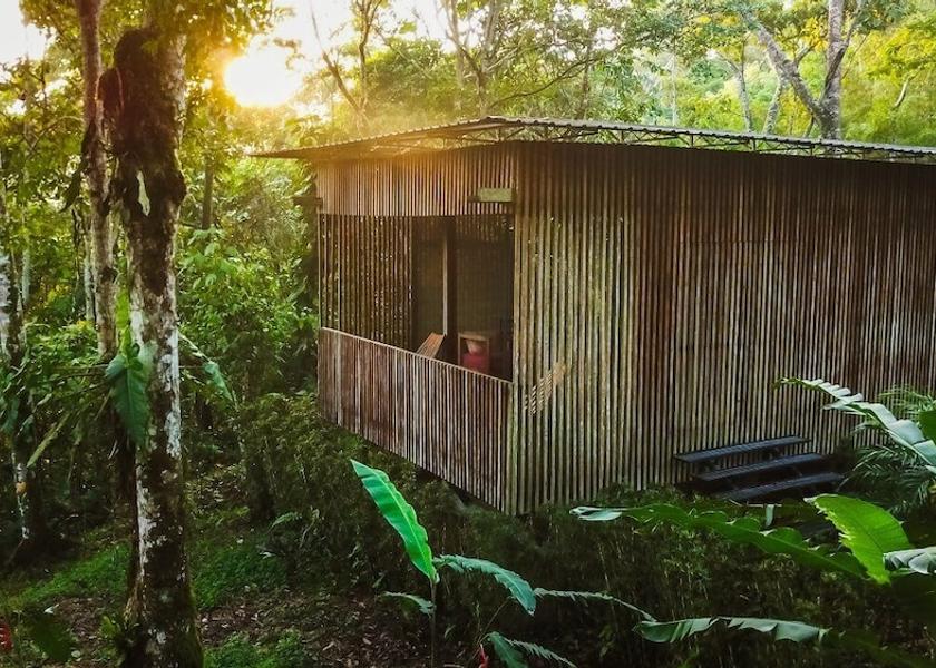 Napo Misahualli Room