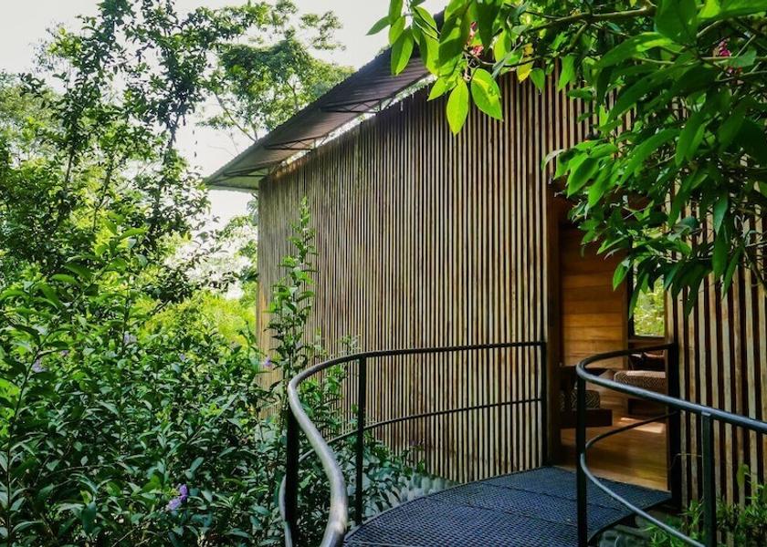 Napo Misahualli Interior Entrance