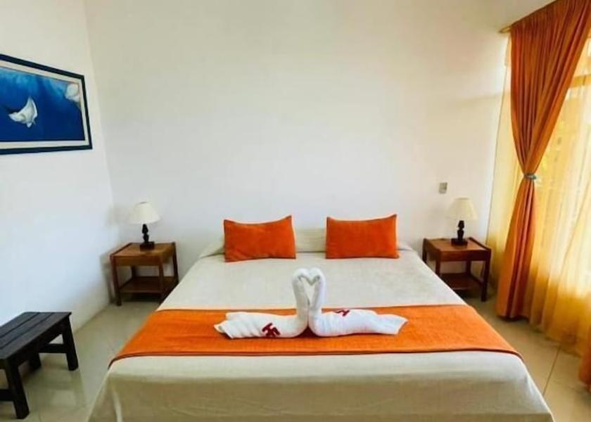 Galapagos Puerto Ayora Room