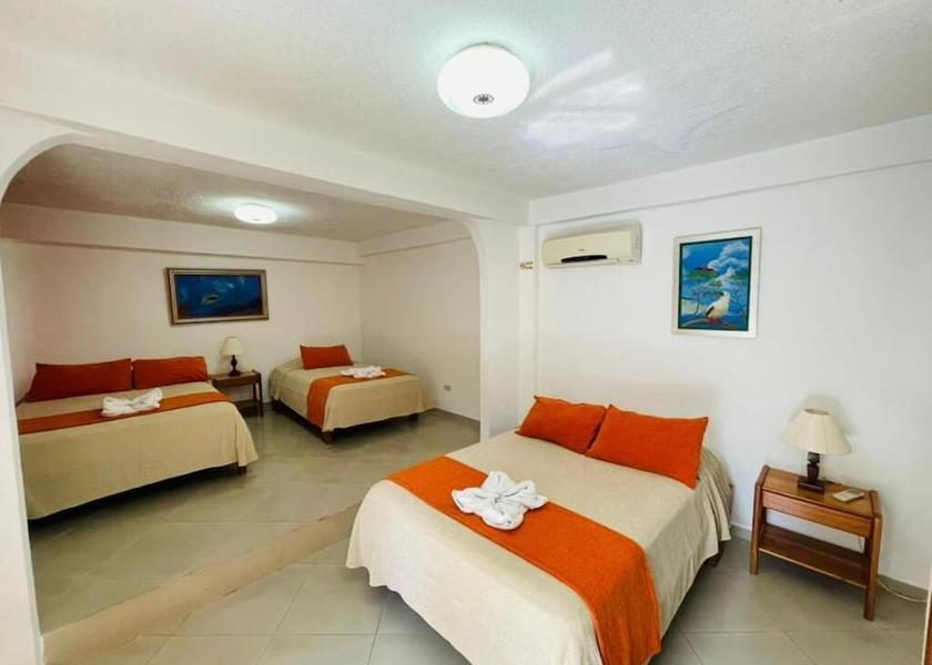 Galapagos Puerto Ayora Room