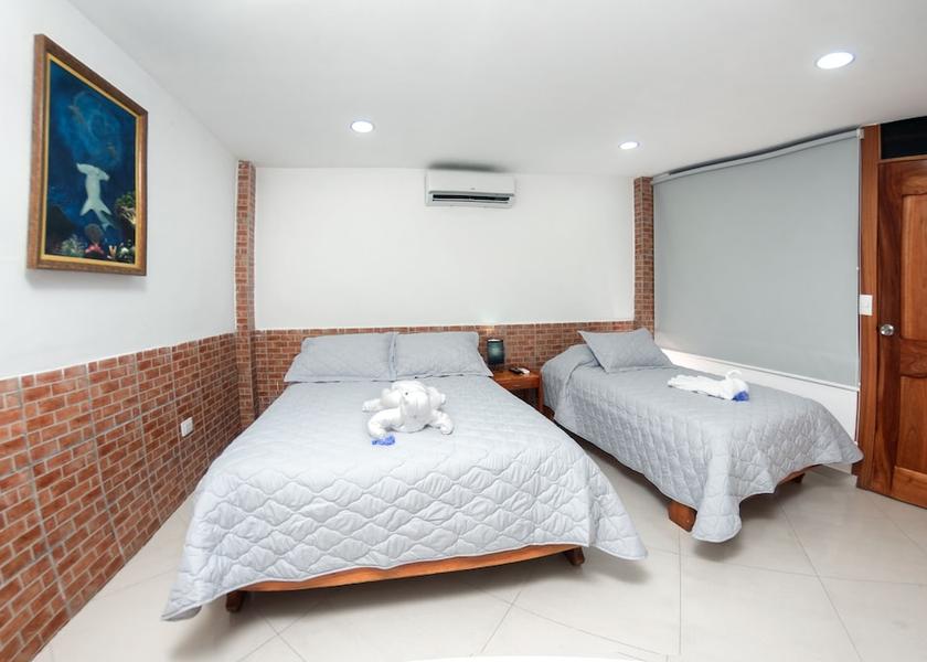 Galapagos Puerto Ayora Room